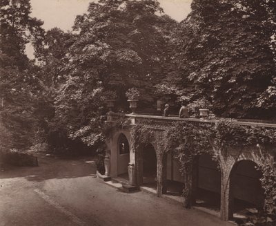 Holland House, Londra: Colonnade üzerinde Teras, Güney Yakası (s/b fotoğraf) by English Photographer