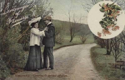 Hanımeli - Cömert ve özverili sevgi by English Photographer