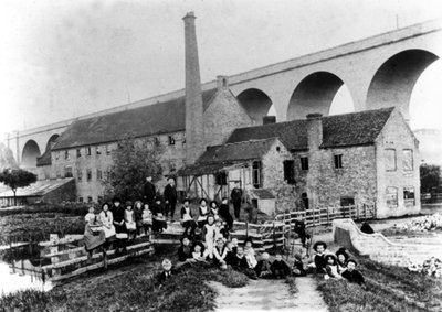 Hoobrook değirmeni ve viyadük, Kidderminster, 1905 by English Photographer