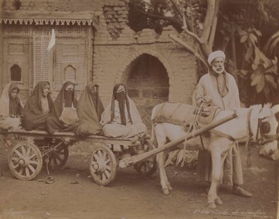 Atlı Araba, Kahire, 1893 by English Photographer