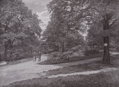 Queens Wood, Highgate