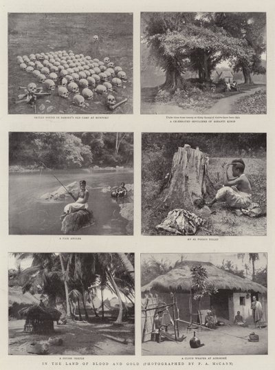 Kan ve Altın Ülkesinde by English Photographer