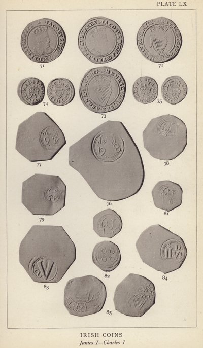 İrlanda Paraları, James I, Charles I (s/b fotoğraf) by English Photographer