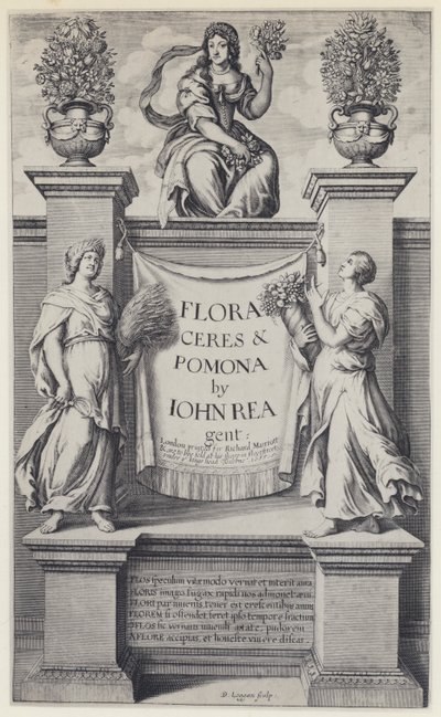 J Rea, Flora, Ceres ve Pomona, R Marriott 1665 (s/b fotoğraf) by English Photographer