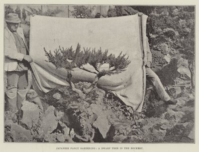 Japon Süslü Bahçeciliği, Rockery