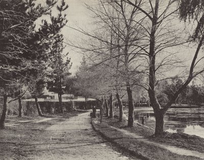 Kışın Wendouree Gölü by English Photographer