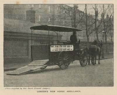 Londons yeni At Ambulansı by English Photographer