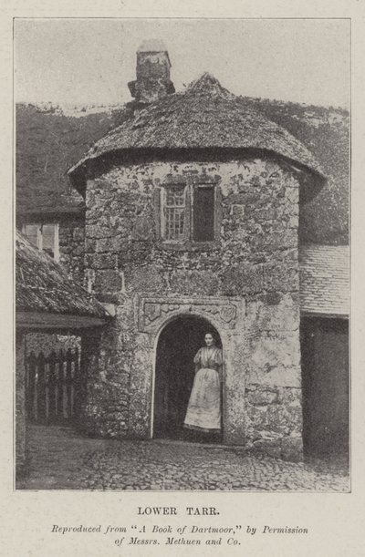 Aşağı Tarr by English Photographer