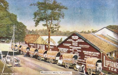 Maddema Mills, Kolombo (renkli fotoğraf) by English Photographer