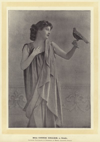Bayan Connie Collier: Bir Çalışma by English Photographer