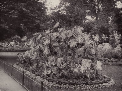 Battersea Park