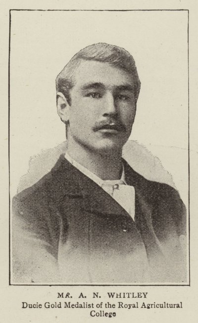 Bay AN Whitley by English Photographer