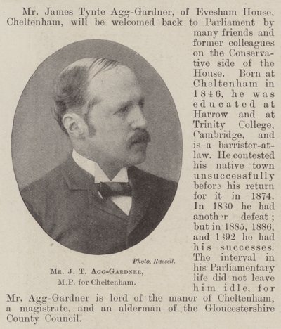 Bay JT Agg-Gardner, Cheltenham Milletvekili by English Photographer
