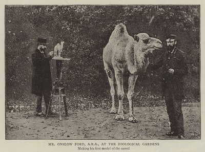 Bay Onslow Ford, ARA, Zoolojik Bahçelerde by English Photographer