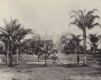 Palmiyeler ve Çeşme, Botanik Bahçeleri, Brisbane by English Photographer