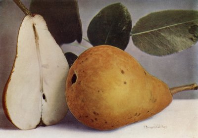 Armut, Durondeau (renkli fotoğraf) by English Photographer