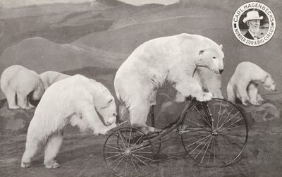 Üç tekerlekli bisiklete binen kutup ayısı, Carl Hagenbeck