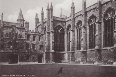 Dörtgen Yeni Kolej, Oxford by English Photographer