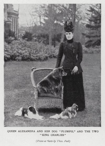 Kraliçe Alexandra, köpeği Plumpie ve iki King Charles spaniel