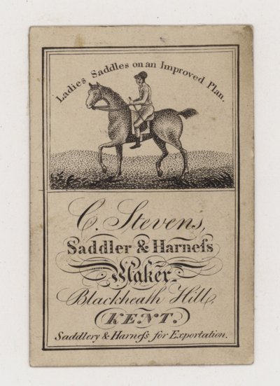 Saddler and Harness Maker, C Stevens, ticari kart by English Photographer
