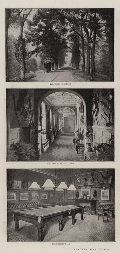 Sandringham Evi by English Photographer