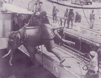 Bir Fil Göndermek, Rangoon by English Photographer
