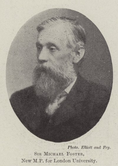 Londra Üniversitesi