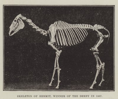 Münzevi İskeleti, 1867