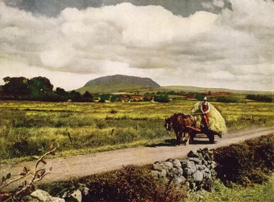 Slemish, County Antrim (renkli fotoğraf) by English Photographer