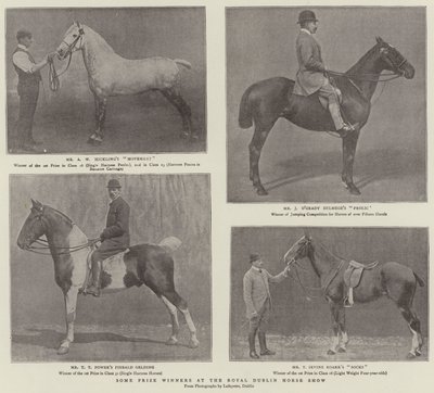 Royal Dublin Horse Show