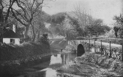 Güney Afrika: The Bridge, Mowbray (s/b fotoğraf) by English Photographer