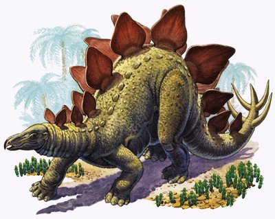 Stegosaurus (kağıt üzerine guaj) by English Photographer