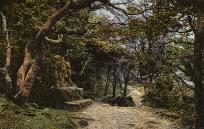 Taş Koltuk, Heyelan by English Photographer