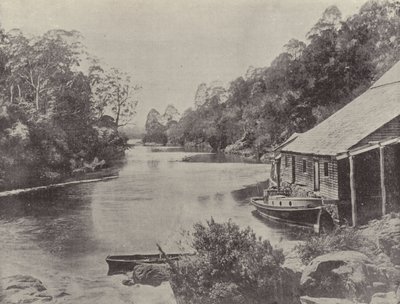 Tedarik Nehri, Tazmanya by English Photographer