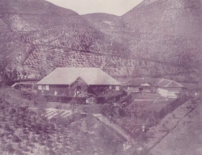 Çay Tarlası, Seylan by English Photographer