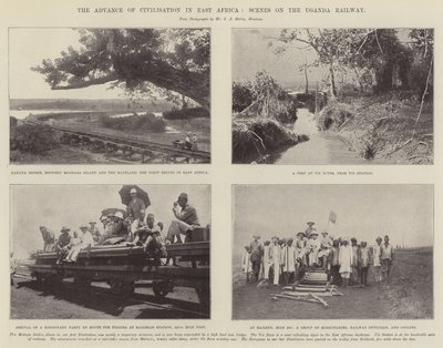 Doğu Afrika