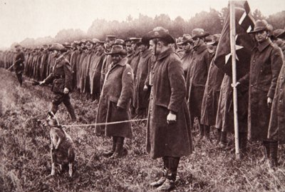 Salisbury Ovası üzerine Anzak incelemesi: Avustralyalı bir maskot, The Illustrated War News