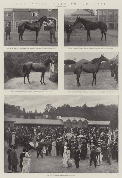 1901 Ascot Toplantısı by English Photographer