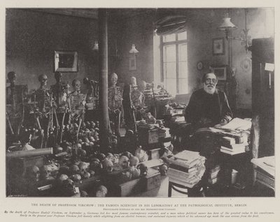 Ünlü Bilim Adamı Profesör Virchow