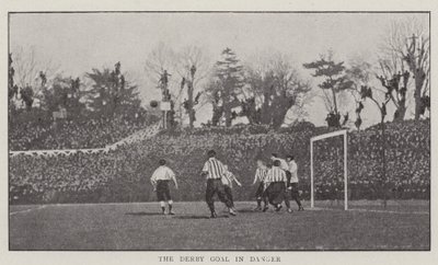Derbi Golü Tehlikede by English Photographer