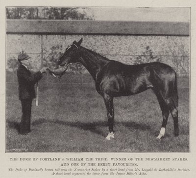 Portlands Dükü Üçüncü William, Newmarket Stakes Kazanan ve Derbi Favorilerinden Biri by English Photographer
