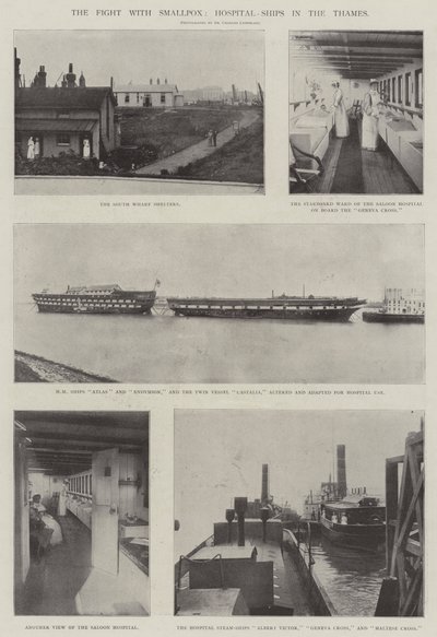 Çiçek Hastalığı ile Mücadele, Thames