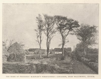 Başkan McKinley