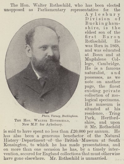 Saygıdeğer Walter Rothschild, Aylesbury