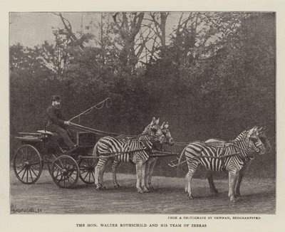 Saygıdeğer Walter Rothschild ve Zebra Ekibi by English Photographer
