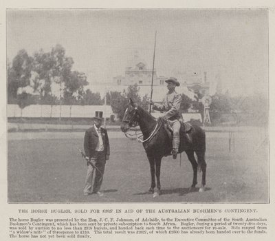 Horse Bugler, Adelaide