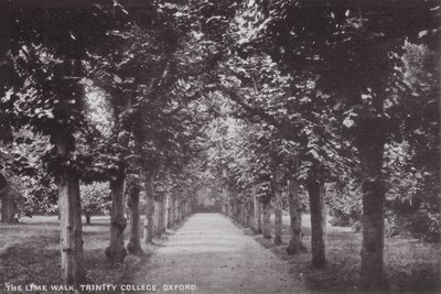 Kireç Yürüyüşü, Trinity Koleji, Oxford by English Photographer