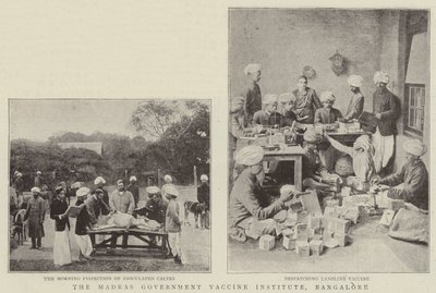 Madras Devlet Aşı Enstitüsü, Bangalore by English Photographer