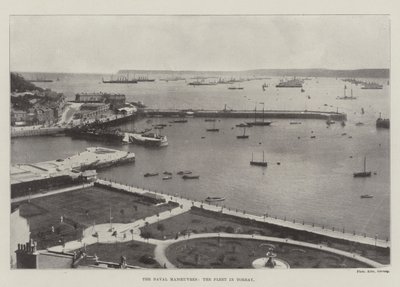 Deniz Manevraları, Torbay