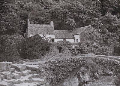 Eski Değirmen, Jesmond Dene (s/b fotoğraf) by English Photographer